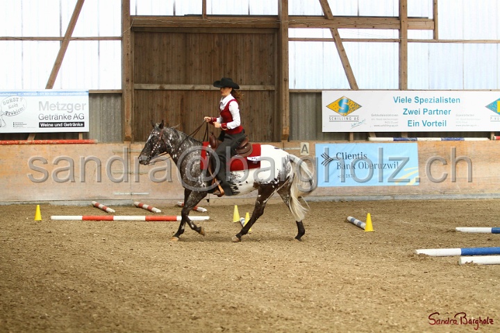 26-ApHC GT_010.jpg